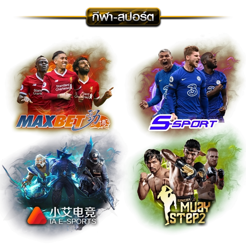  item-in banner-sport